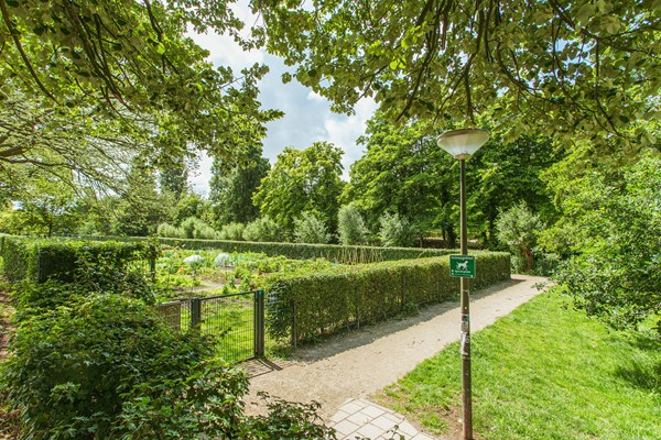Medium property photo - Lavendelstraat 2, 2563 PS Den Haag